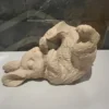 Coelho Porta Garrafas de Vinho